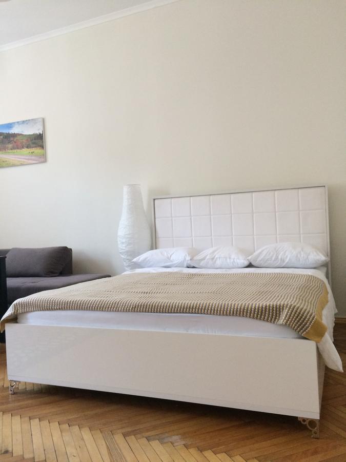 Cozy Apartment 39/34 Lviv Buitenkant foto